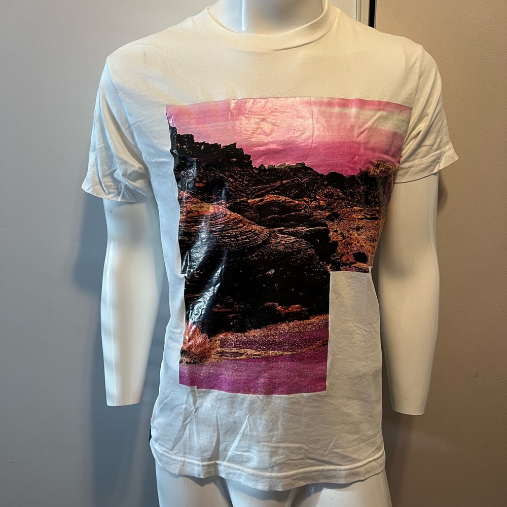 Diesel Tee size small fits like a medium